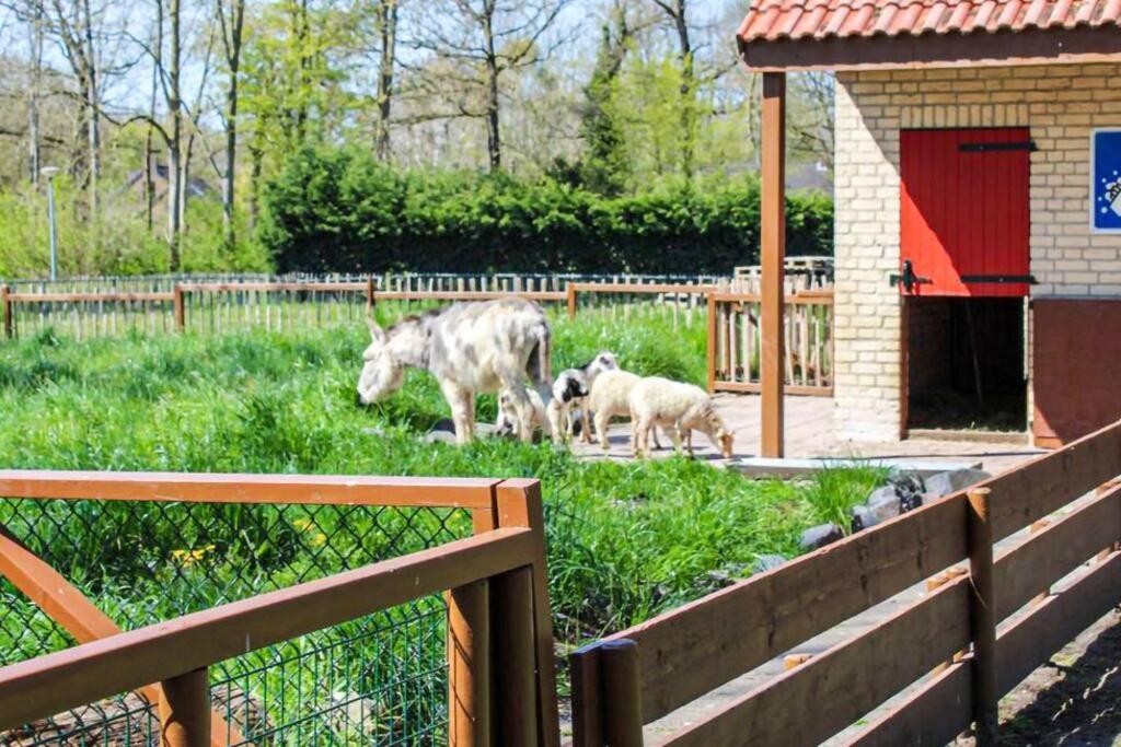 Tof Wellness Huis, Alles Nieuw, Gelegen Bij Meer. Ewijk Exteriör bild
